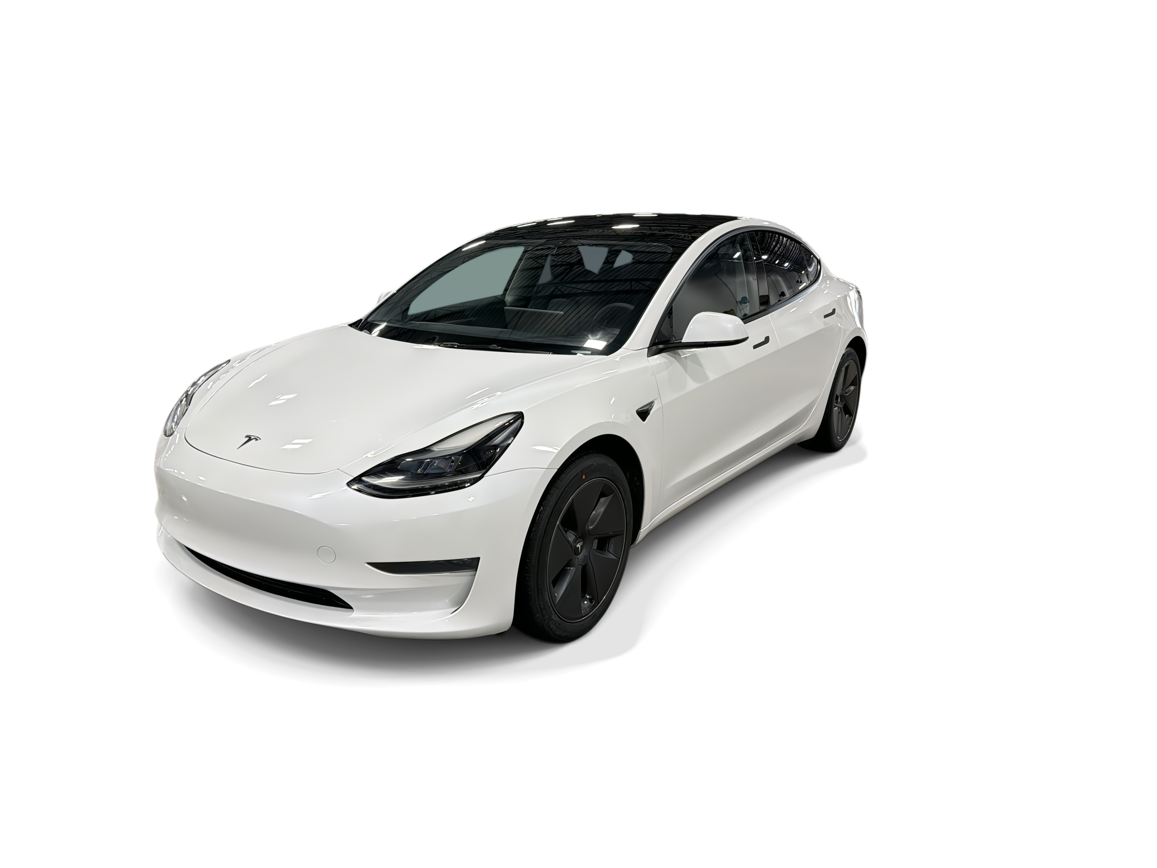 tesla model 3 2023 5YJ3E1EAXPF646261 image tesla model 3 2023 5YJ3E1EAXPF646261 image